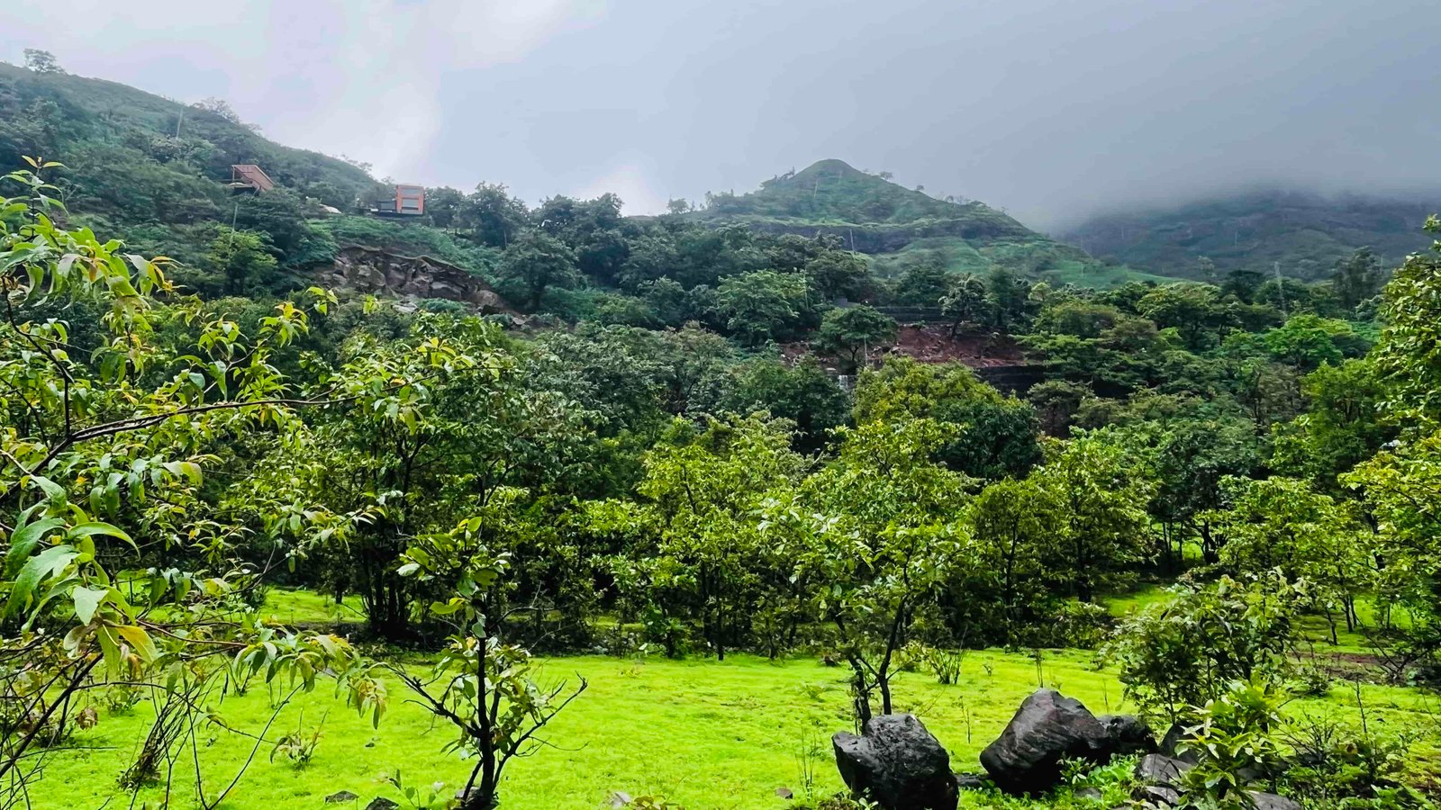 Royal View Farms — Mulshi Farmhouse Plots